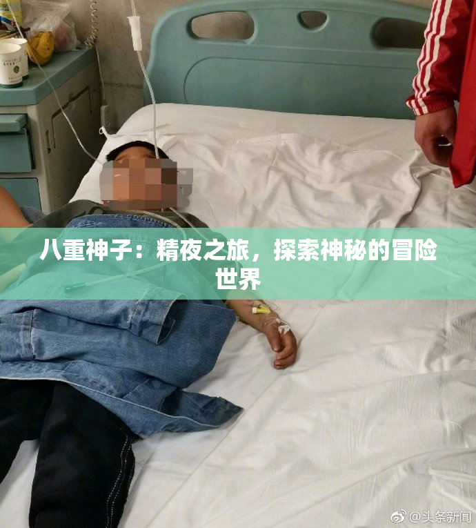 八重神子：精夜之旅，探索神秘的冒险世界
