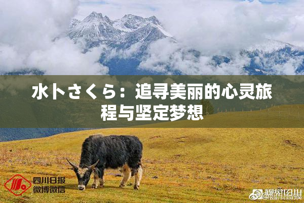 水卜さくら：追寻美丽的心灵旅程与坚定梦想