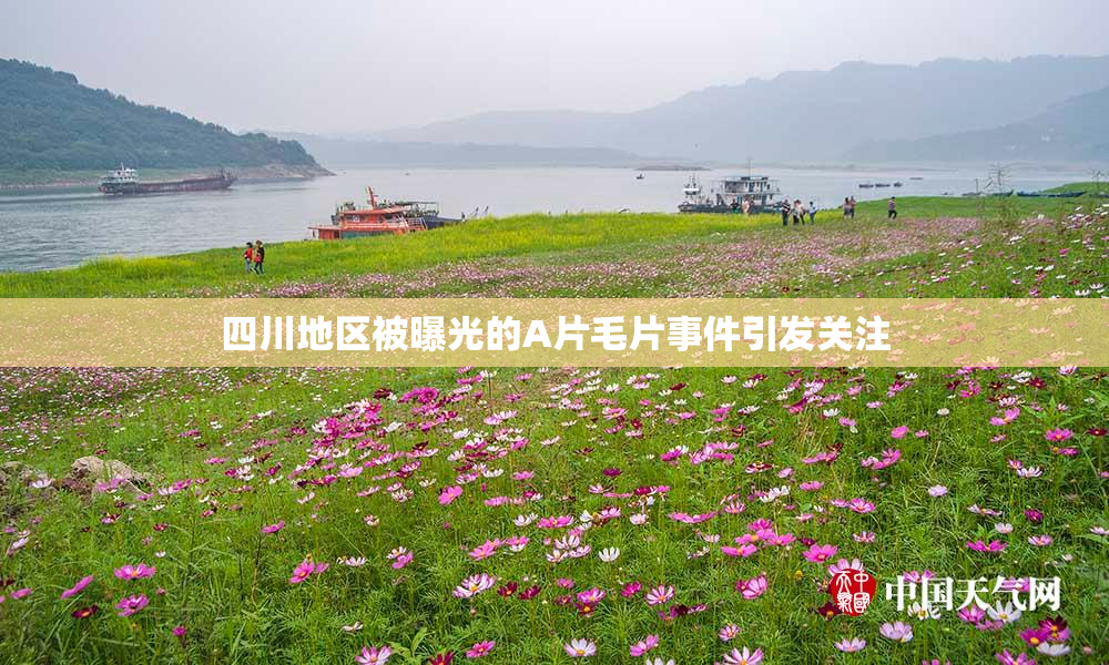 四川地区被曝光的A片毛片事件引发关注