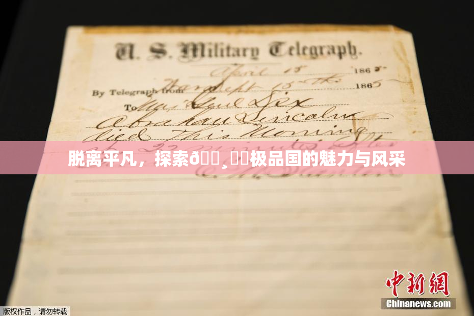 脱离平凡，探索🌸‌✿极品国的魅力与风采