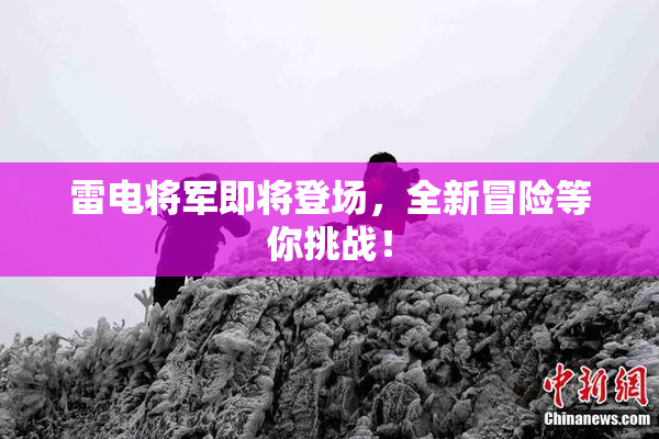 雷电将军即将登场，全新冒险等你挑战！