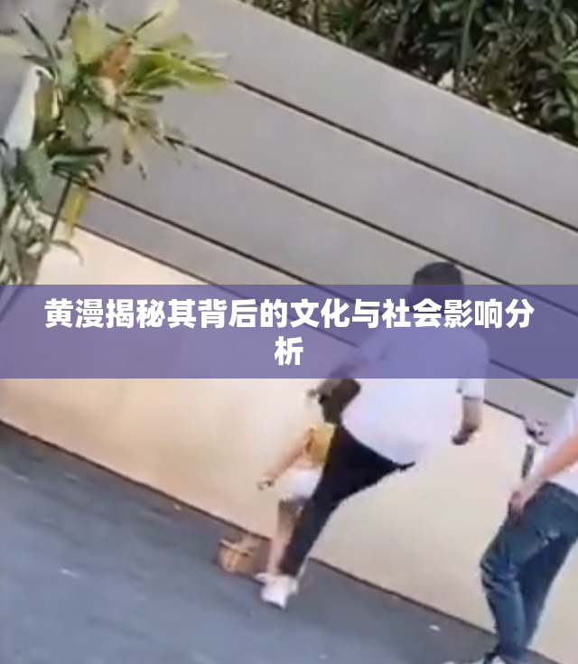 黄漫揭秘其背后的文化与社会影响分析