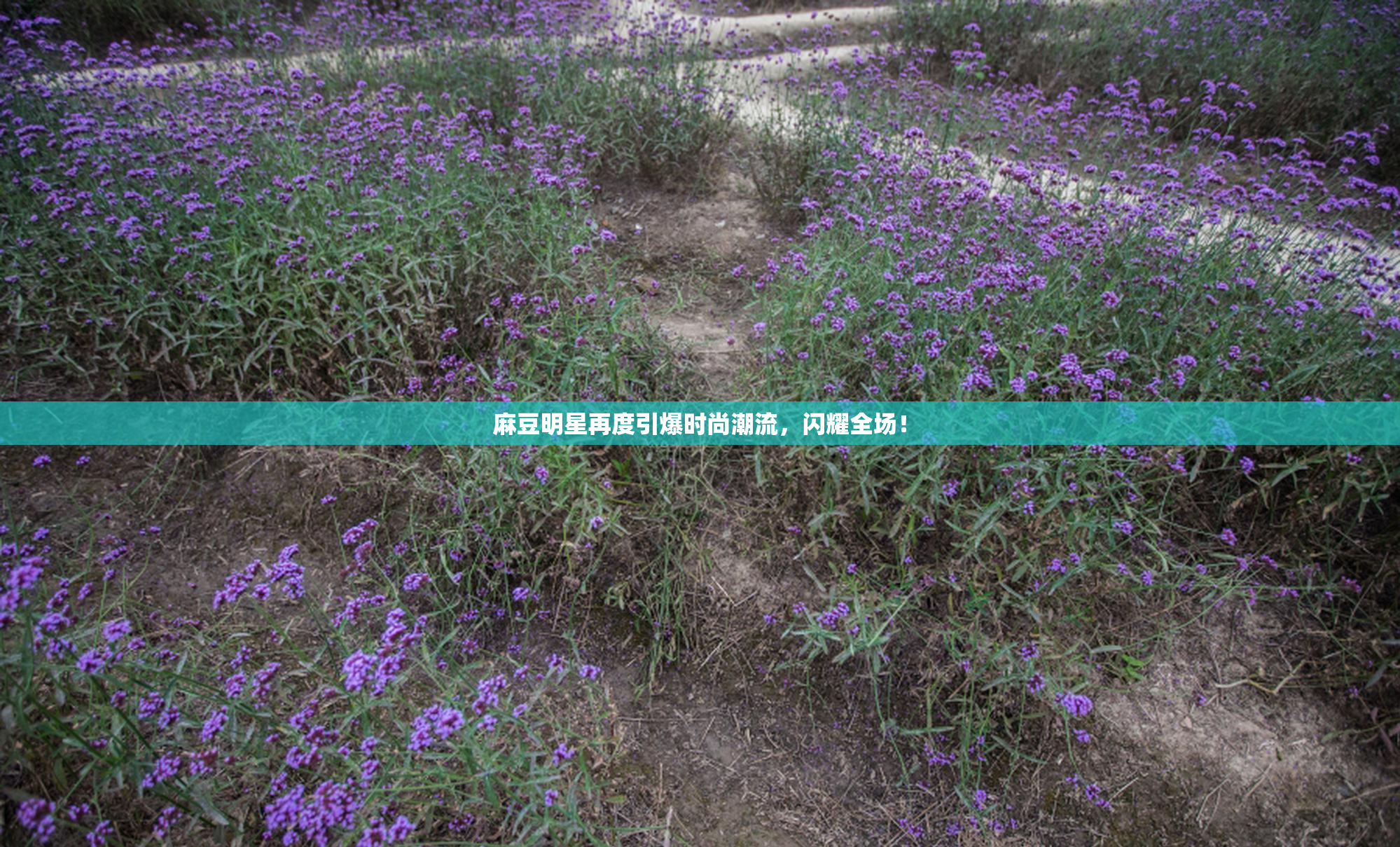 麻豆明星再度引爆时尚潮流，闪耀全场！