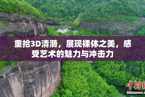 重拾3D清漪，展现裸体之美，感受艺术的魅力与冲击力
