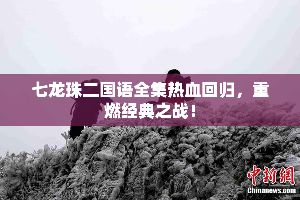 七龙珠二国语全集热血回归，重燃经典之战！