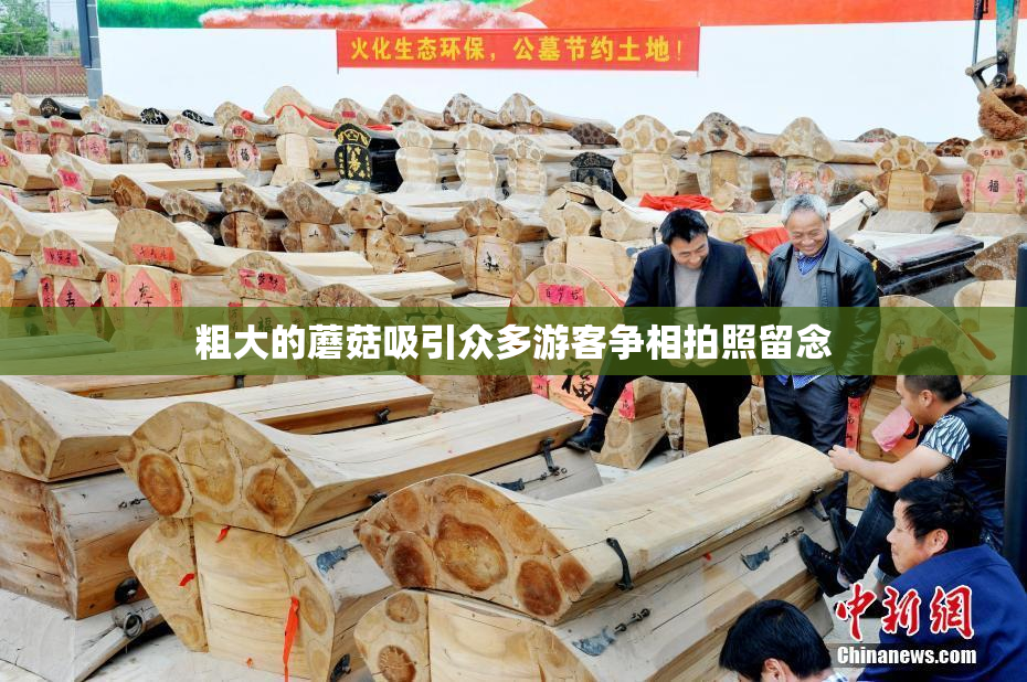 粗大的蘑菇吸引众多游客争相拍照留念