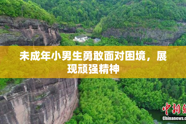 未成年小男生勇敢面对困境，展现顽强精神