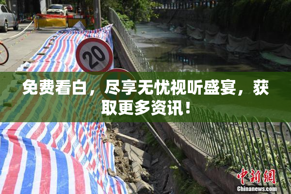 免费看白，尽享无忧视听盛宴，获取更多资讯！