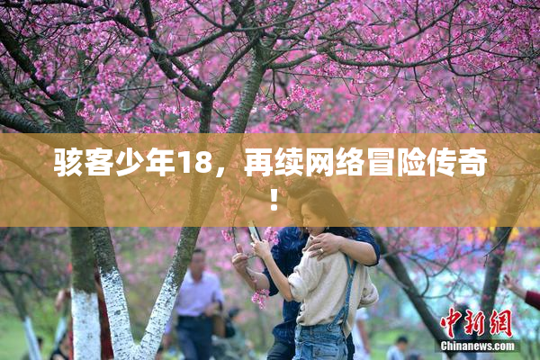 骇客少年18，再续网络冒险传奇！