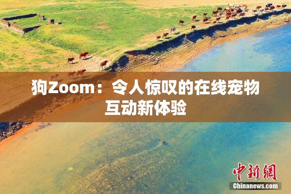 狗Zoom：令人惊叹的在线宠物互动新体验