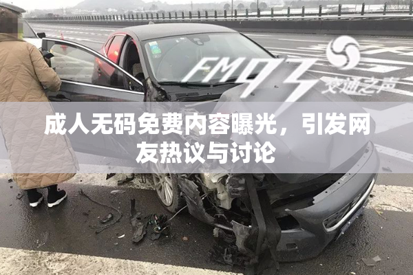 成人无码免费内容曝光，引发网友热议与讨论