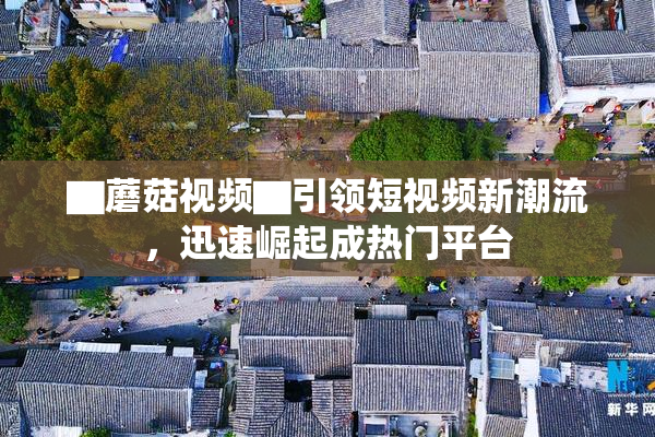 ▇蘑菇视频▇引领短视频新潮流，迅速崛起成热门平台