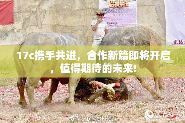 17c携手共进，合作新篇即将开启，值得期待的未来!