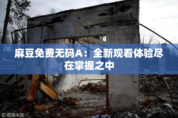 麻豆免费无码A：全新观看体验尽在掌握之中