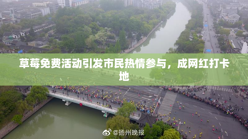 草莓免费活动引发市民热情参与，成网红打卡地