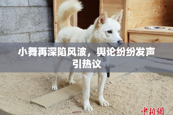 小舞再深陷风波，舆论纷纷发声引热议