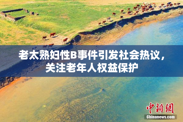老太熟妇性B事件引发社会热议，关注老年人权益保护