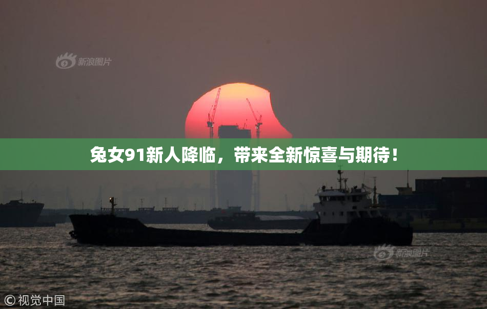 兔女91新人降临，带来全新惊喜与期待！