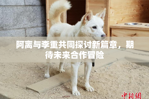阿离与李重共同探讨新篇章，期待未来合作冒险