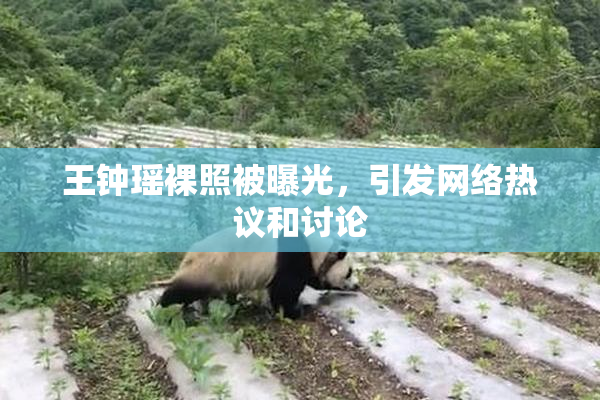 王钟瑶裸照被曝光，引发网络热议和讨论