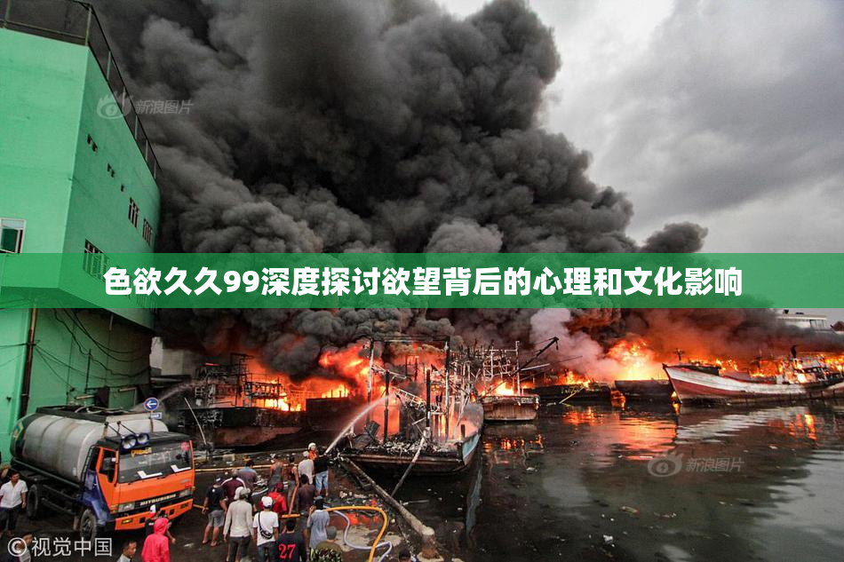色欲久久99深度探讨欲望背后的心理和文化影响