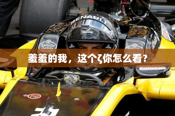 羞羞的我，这个ζ你怎么看？