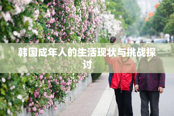 韩国成年人的生活现状与挑战探讨