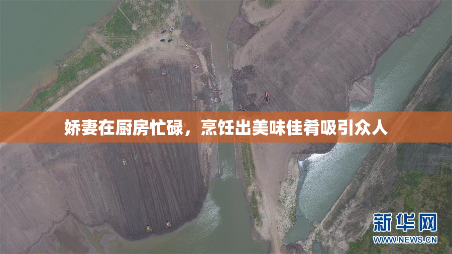娇妻在厨房忙碌，烹饪出美味佳肴吸引众人