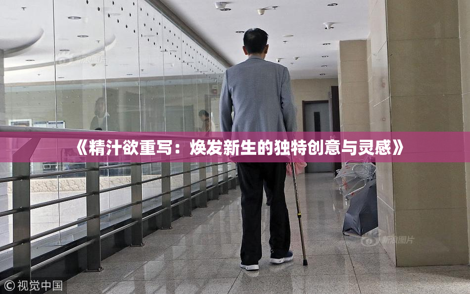 《精汁欲重写：焕发新生的独特创意与灵感》