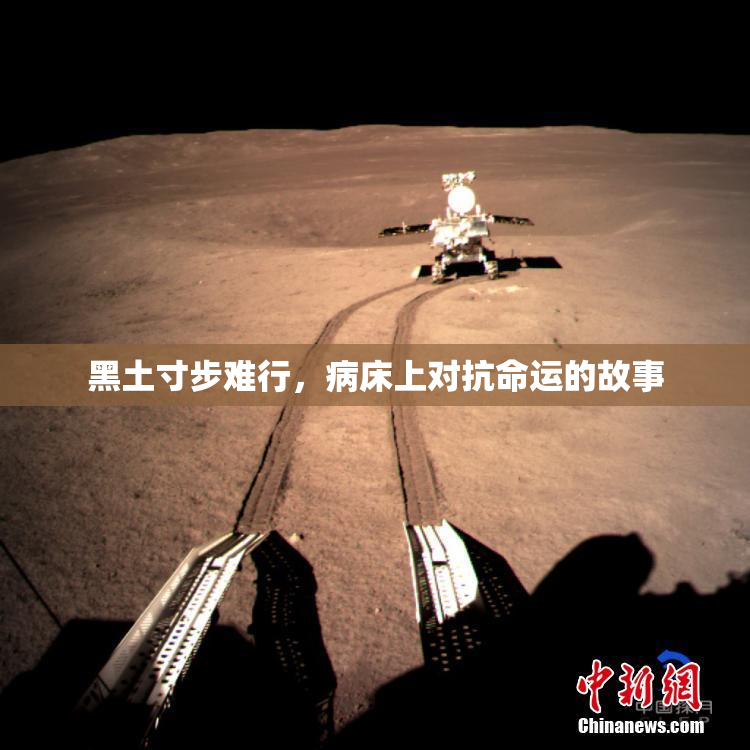 黑土寸步难行，病床上对抗命运的故事