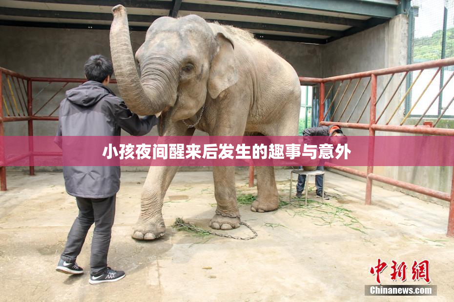 小孩夜间醒来后发生的趣事与意外