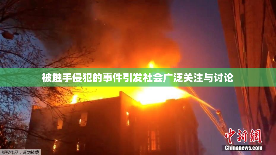 被触手侵犯的事件引发社会广泛关注与讨论