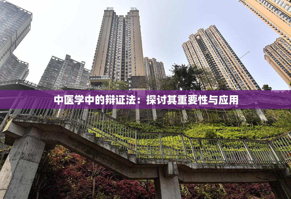 中医学中的辩证法：探讨其重要性与应用