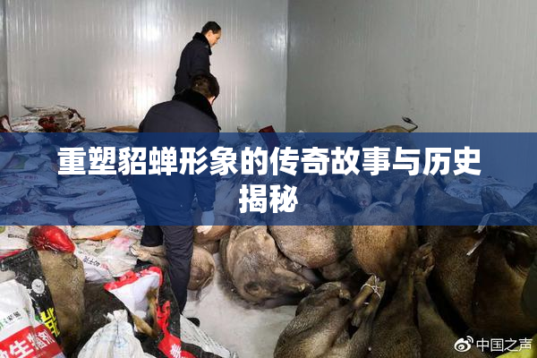 重塑貂蝉形象的传奇故事与历史揭秘