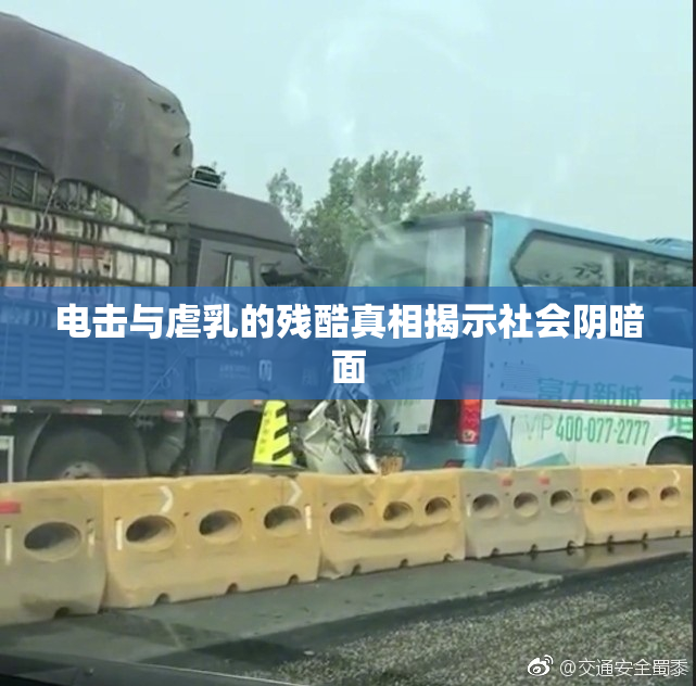 电击与虐乳的残酷真相揭示社会阴暗面