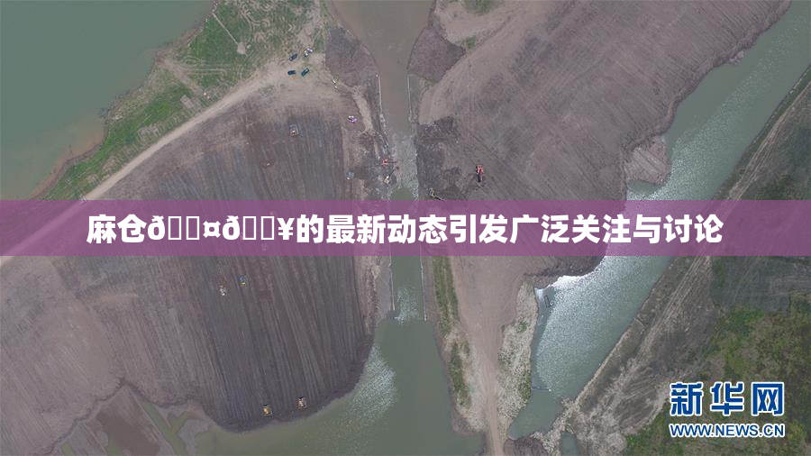 麻仓🖤🔥的最新动态引发广泛关注与讨论