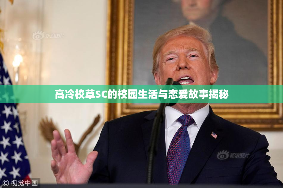 高冷校草SC的校园生活与恋爱故事揭秘