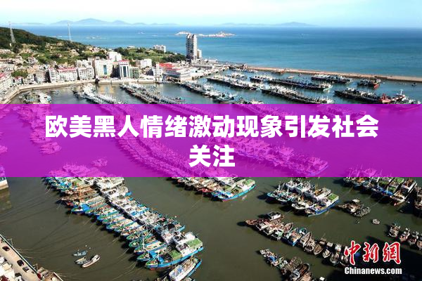 欧美黑人情绪激动现象引发社会关注