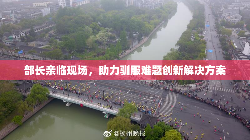 部长亲临现场，助力驯服难题创新解决方案