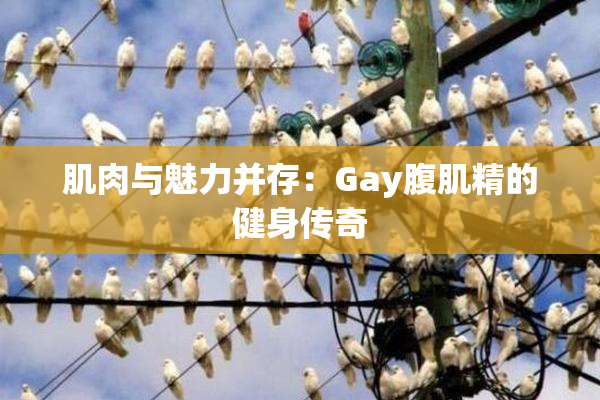 肌肉与魅力并存：Gay腹肌精的健身传奇