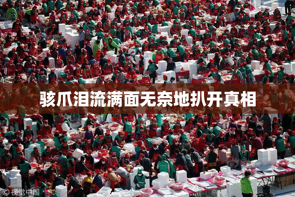 骇爪泪流满面无奈地扒开真相