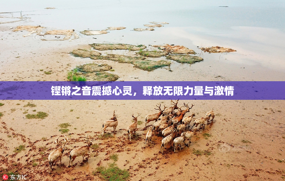 铿锵之音震撼心灵，释放无限力量与激情