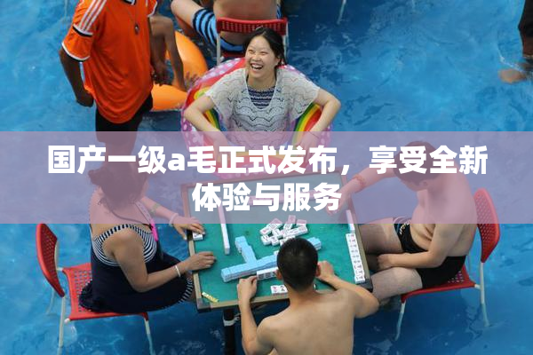 国产一级a毛正式发布，享受全新体验与服务