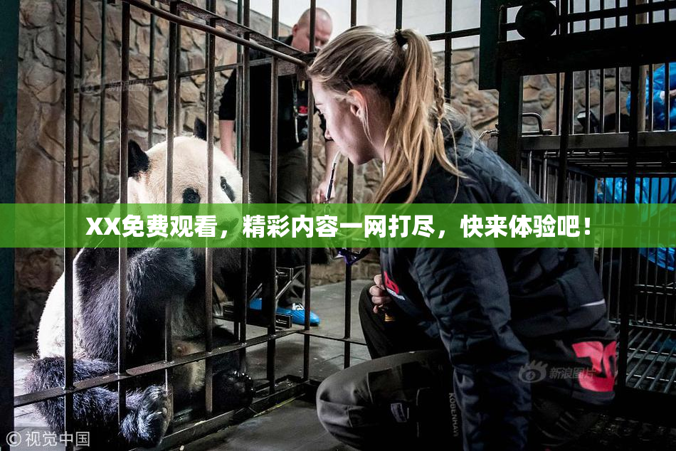 XX免费观看，精彩内容一网打尽，快来体验吧！