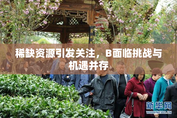 稀缺资源引发关注，B面临挑战与机遇并存