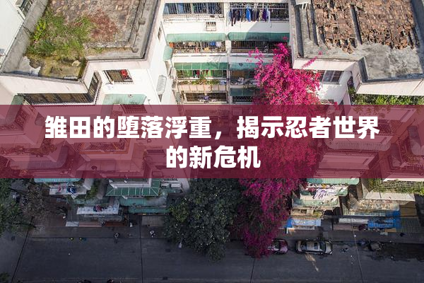 雏田的堕落浮重，揭示忍者世界的新危机