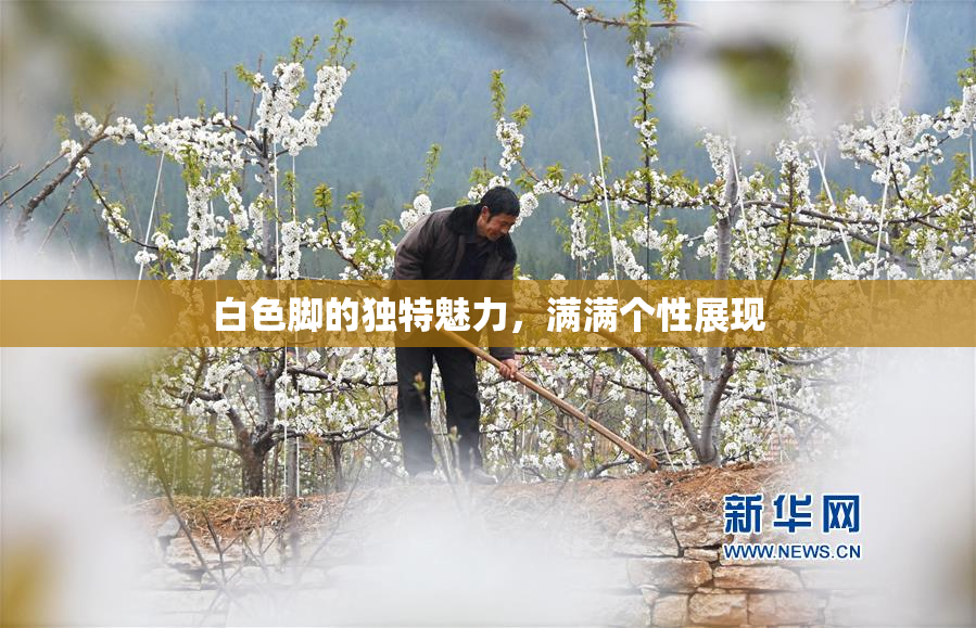 白色脚的独特魅力，满满个性展现