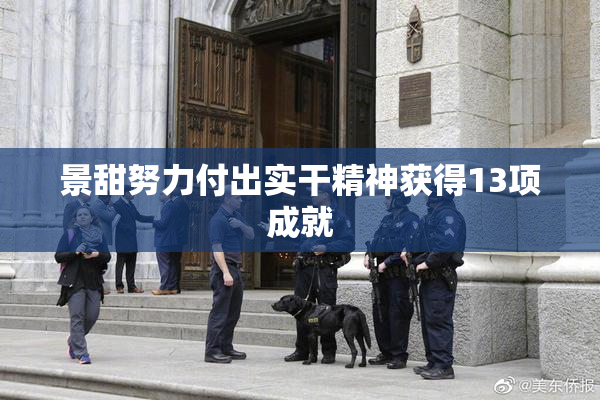 景甜努力付出实干精神获得13项成就
