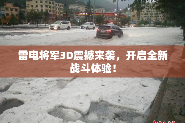 雷电将军3D震撼来袭，开启全新战斗体验！