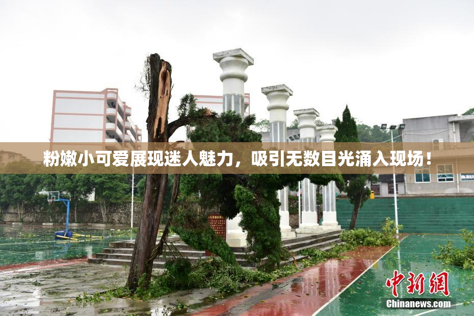 粉嫩小可爱展现迷人魅力，吸引无数目光涌入现场！